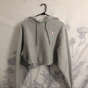 Urban Outfitters Champion Cropped Hoodie Size M